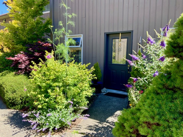 A dark navy front door reached by a gravel path, framed by purple buddleia, catmint and a young green-leaved shrub.