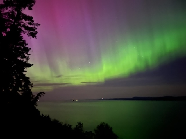 Green and magenta northern lights filling the night sky over the water, with a tall conifer silhouetted at the left.